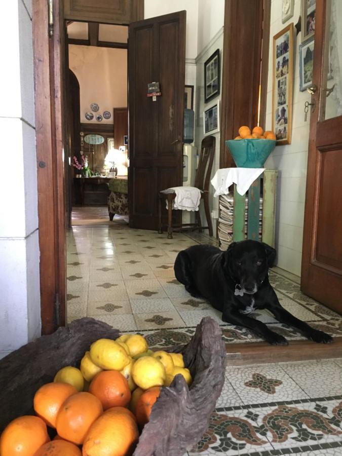 Casa Ruchi 1893 Bed and Breakfast Tigre Eksteriør billede